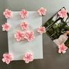Fade Magnets Cherry Blossom Design Spring Decor KitchenEco-Friendly Valentine's Day Housewarming Gifts