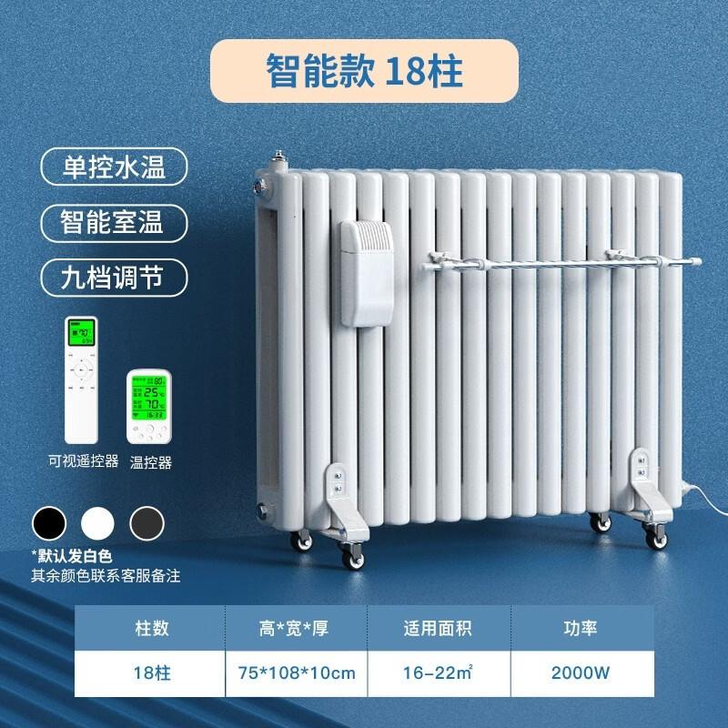 Yangzi Electric Water-Filled Radiator Heater