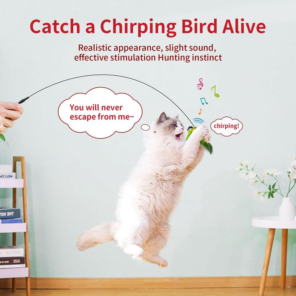 Игрушка с перьями птиц и кошек - игрушка-тизер, сенсорная активация для котенка, забавные интерактивные игрушки с щебетанием птиц, выдвижные подвесные игрушки