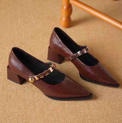 2025 Новые туфли Мэри Джейн с французским острым носком для женщин, 2025 Осень, новые туфли-лодочки на блочном каблуке с мелким вырезом