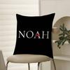 Fashionable Traditional Design Style-NOAH Pillow Case Comfort Sofa Bed Silky elegant Invisible zipper Decorative cushion cover