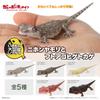 Genuine Popularity Gacha Biological Encyclopedia Japanese Gecko Bearded Lizard Action Figure Model Toys