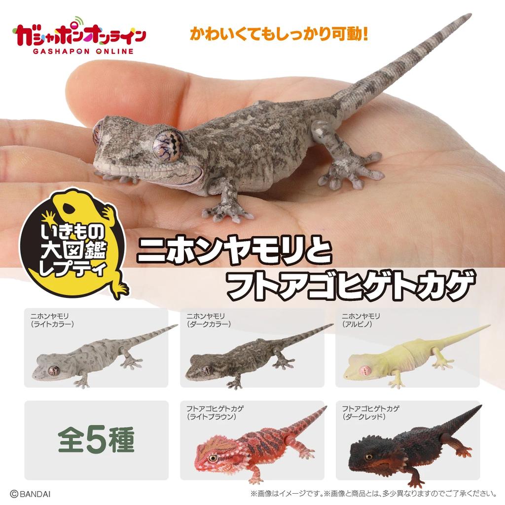 Genuine Popularity Gacha Biological Encyclopedia Japanese Gecko Bearded Lizard Action Figure Model Toys