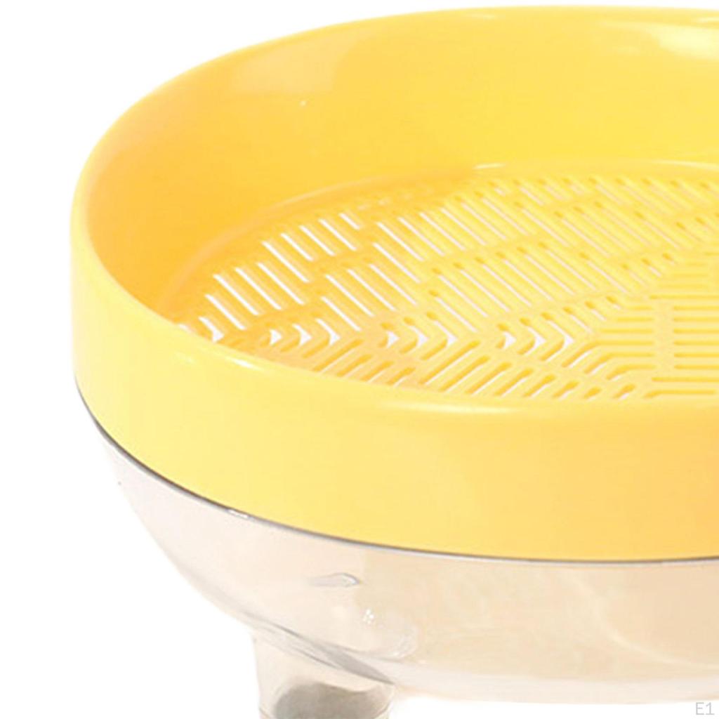 Cat Grass Box Seed Tray Easy To Plant Growing Planter Catnip Cultivation for