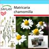 Подарочный набор - Mayweed - 300 семян - С подарочной коробкой, карточкой, этикеткой и субстратом для горшков - Matricaria chamomilla