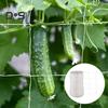 Plant Climbing Netting Roll for Garden Plants White Trellis Netting Outdoor Mesh Support Trellis for Climbing Plants Flowers Veggies