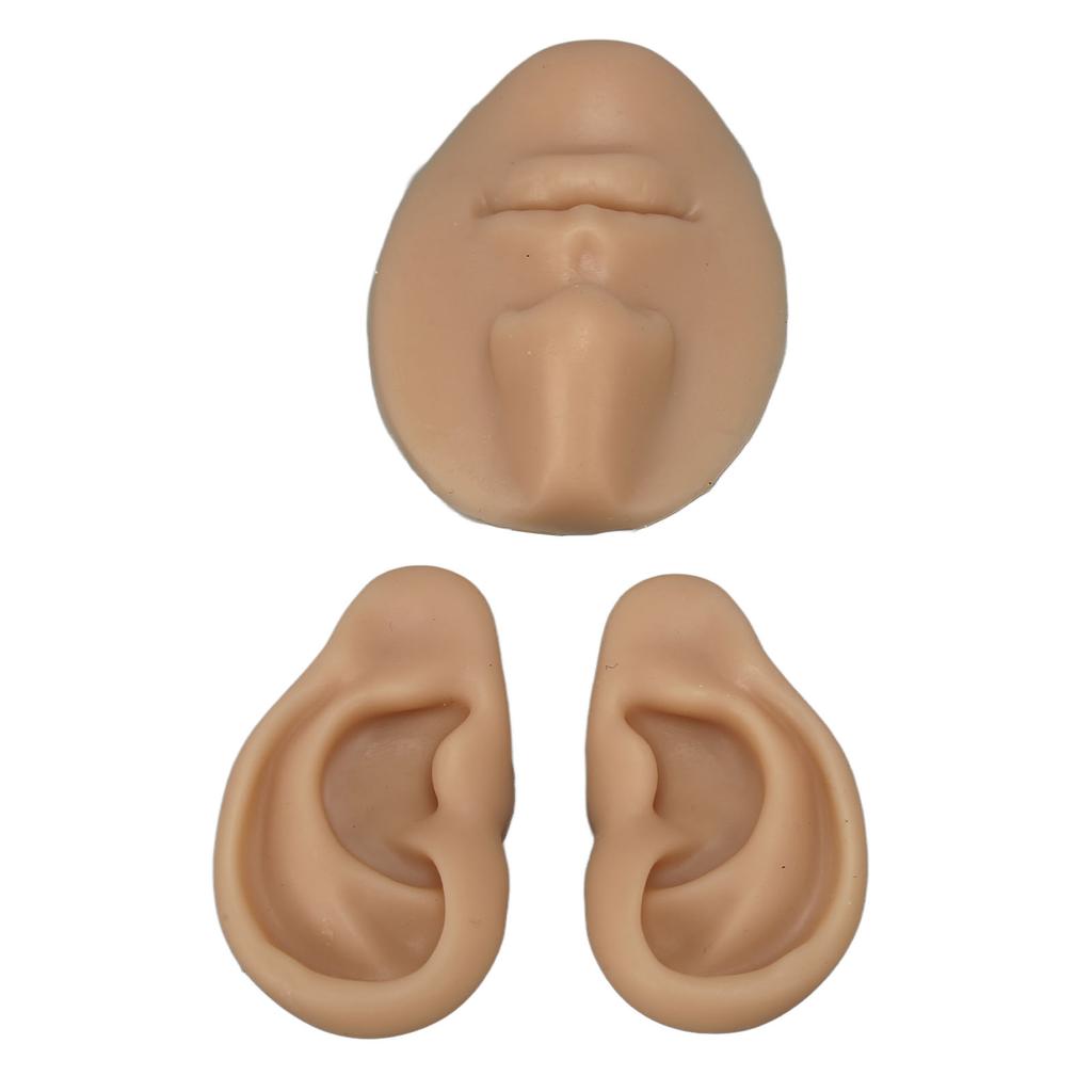 Silicone Ear Model Novice Simulated 3D Nose and Mouth Model Display Prop Teaching Tool for Piercing