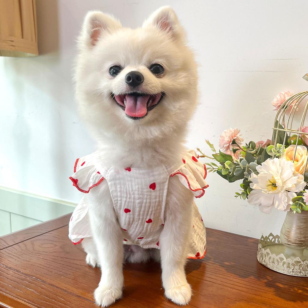 Dog Spring Bowknot Dress T-Shirt Princess Pullover Clothing Apparel Cute Apparel for Spring and Summer