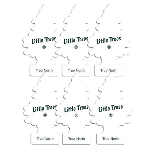 Little Trees Little Tree Air Freshener Air Freshener True North