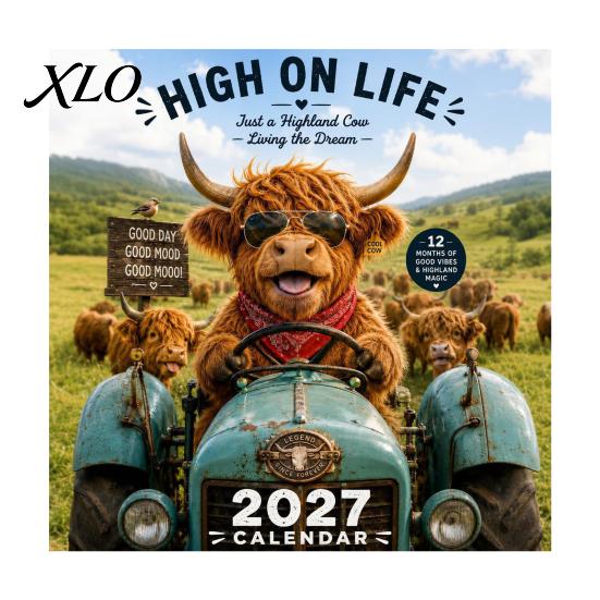 Paper Monthly Wall Planner 2027 Funny Highland Cow Calendar, Cute Farm Animal 12 Month Decorative for Home Scottish Hanging Rustic Decor Art