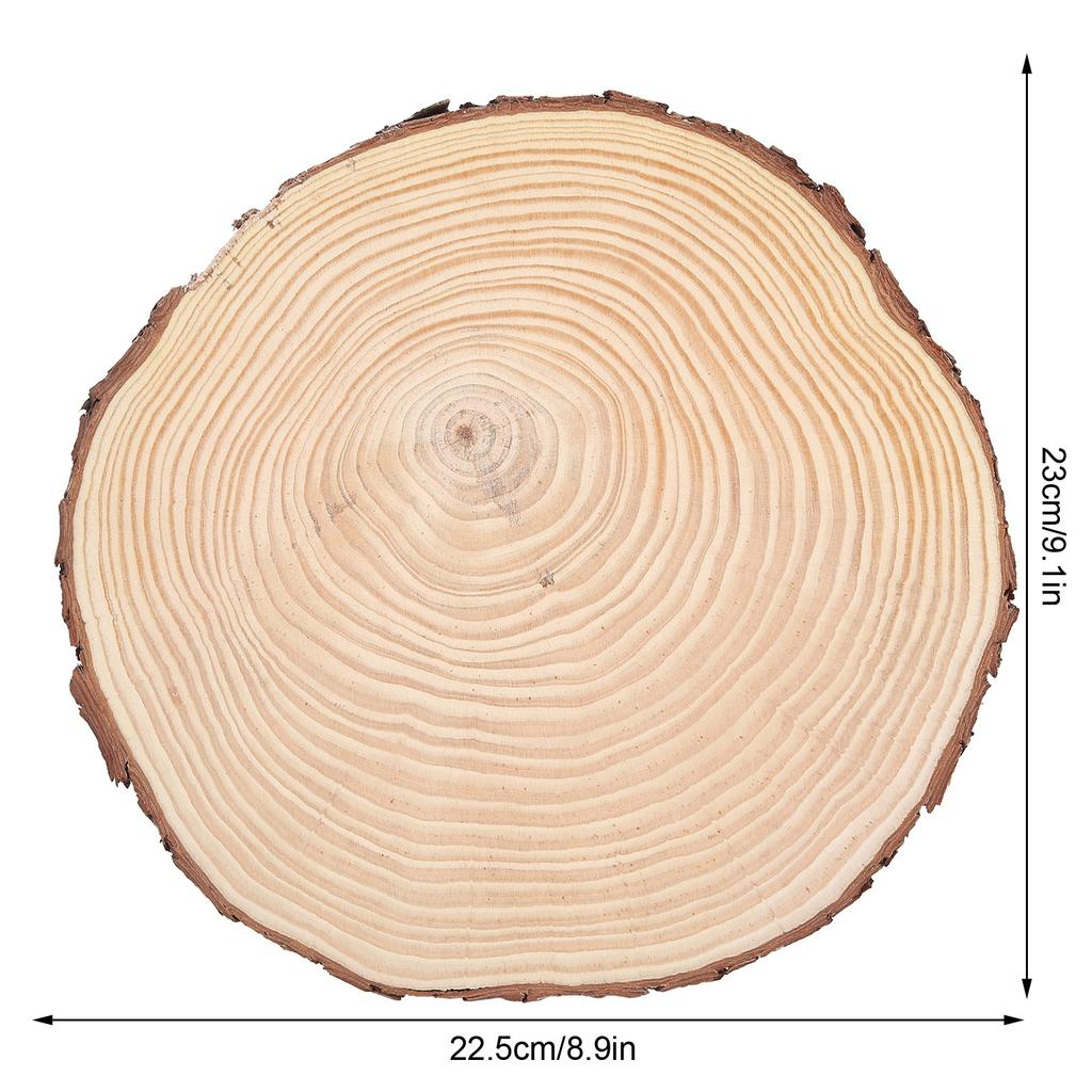 Натуральное дерево Необработанные деревянные круги Украшения Неправильное дерево с корой