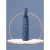 Minimalist Morandi Fully Automatic Umbrellas with Solid Color, Black Glue, Clear Umbrella, Sunshade