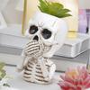 Хэллоуин Череп Кашпо Горшок Смола Скелет Фигурка Цветочный Горшок Крытый Открытый Суккуленты Растения Контейнер Домашний Балкон Сад Украшения