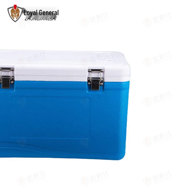 Portable Insulated Cooler Box