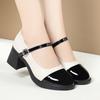 Women Shoes 2025 New Fashion Retro Round Toe Soft Leather Casual Mary Jane Shoes Shallow Mouth Waterproof Platform Shoes