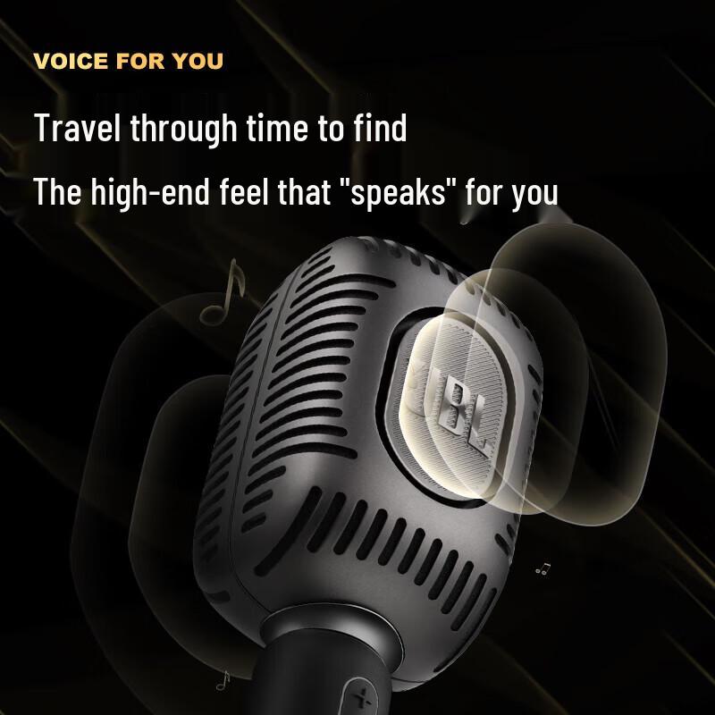 JBL KMC650 Wireless Karaoke Microphone with Integrated Speaker