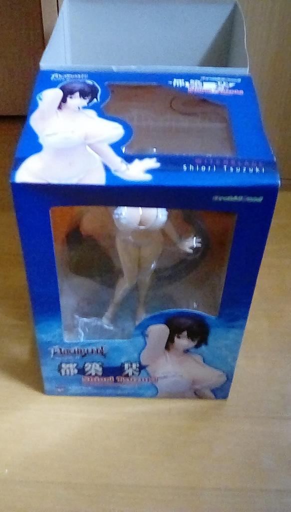 Witchblade Цудзуки Сиори масштаб ПВХ раскрашенная готовая (1/7 продукта)