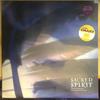 12-дюймовая пластинка SACRED SPIRIT - Зимняя церемония (Тор-Чени-Нахана) VST1574 Virgin 1996 UK Танцевальная и Электронная Музыка Б/У