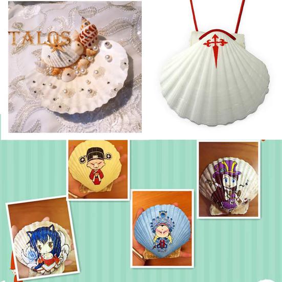 10Pcs Natural Scallop Shells DIY Crafts Theme Party Decor Bright White Seashells Jewelry Christmas Decoration