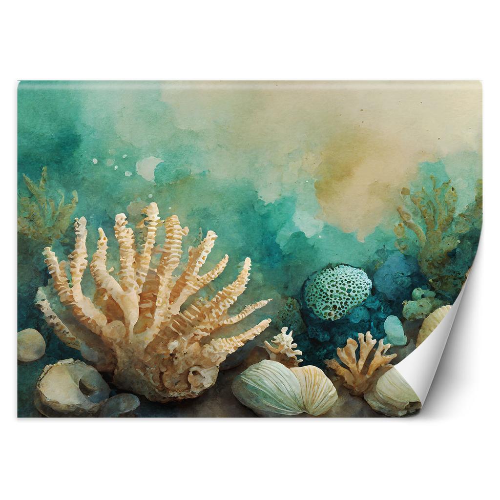 Wallpaper Image Sea Shells Turquoise