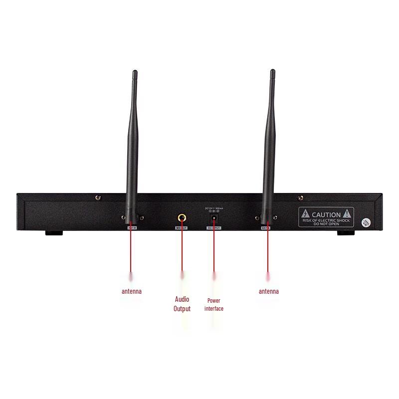 LINGSHENG Home Theater Karaoke System CN plug (adapter included)