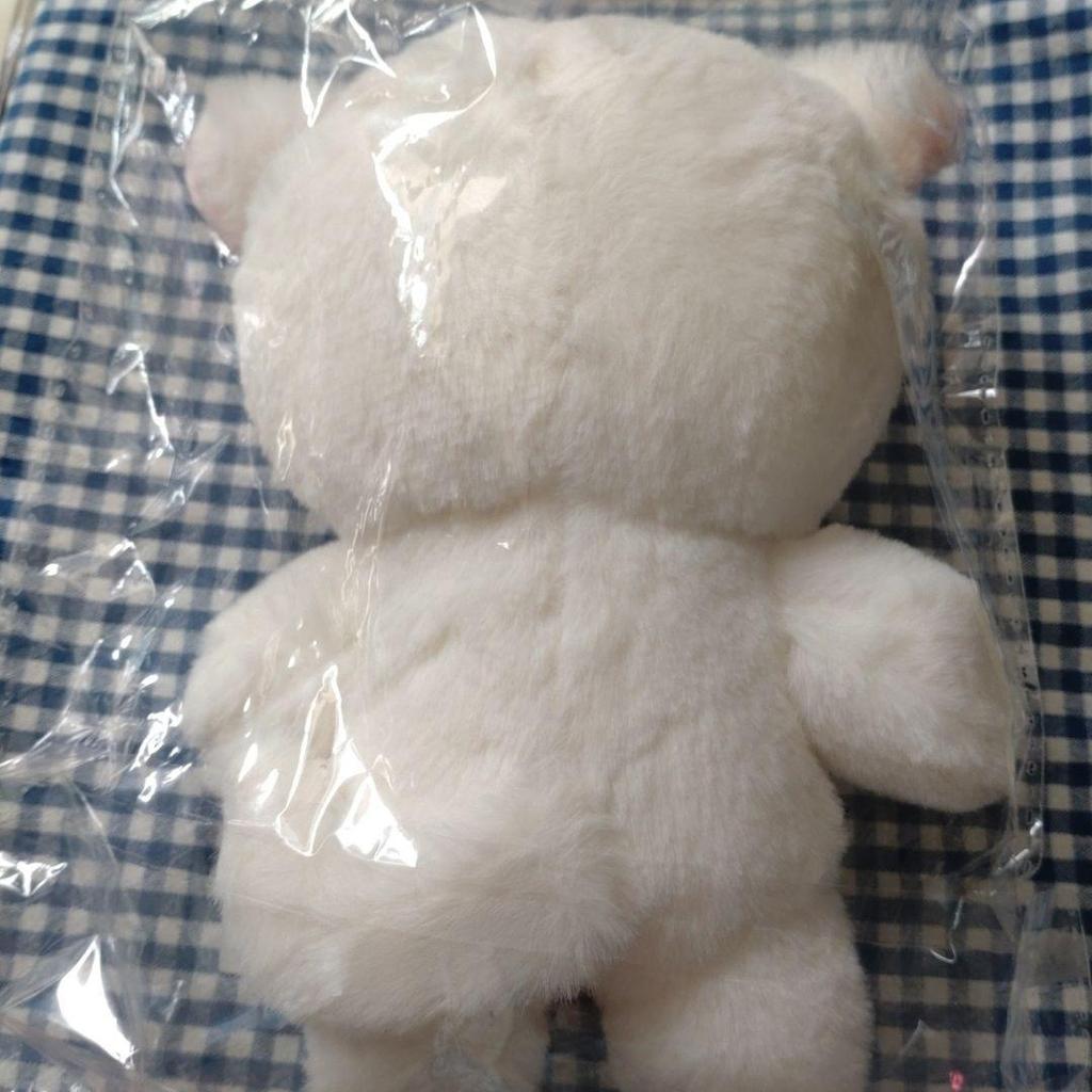 [USED] THE BOYZ Yonghoon Stuffed Toy 20cm