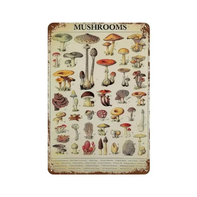 Vintage Butterfly Insect Plant Collection Chart Metal Tin Sign Retro Aesthetic Art Decor for Living Room Wall Home Decor Poster