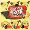 CD SMILE LIKE DOG - Apple Juice Tv BNTN013 Benten Label 1996 Япония Рок Б/У