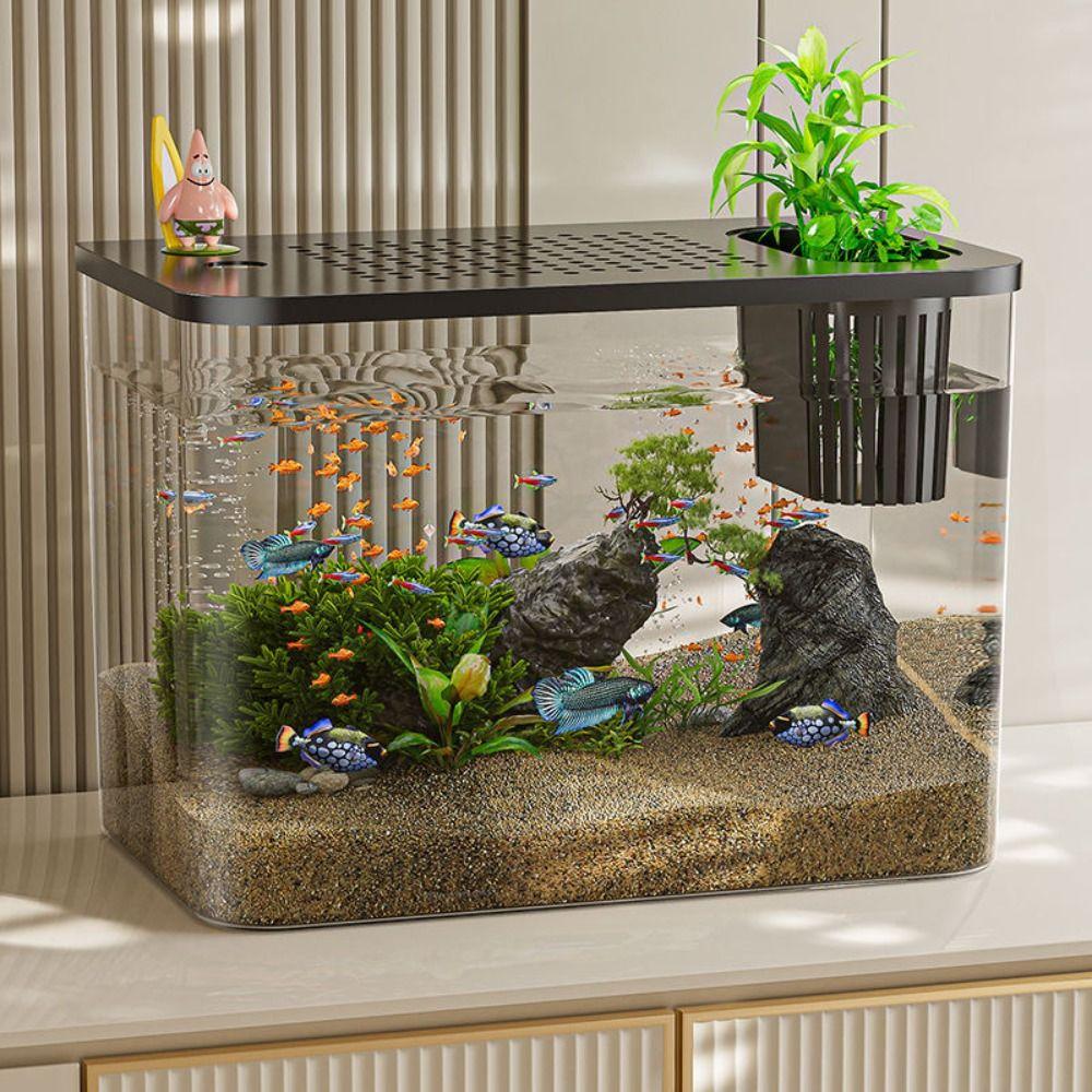Transparent Desktop Aquarium with Lid Turtle Tank Durable Ecological Water Tank for Home