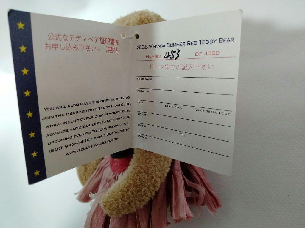 [USED] Hula Dancer Teddy Bear Official Teddy Bear