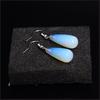 Pair Natural Popular Trendy Women Girl Hook Earrings Fashion Jewelry Gift
