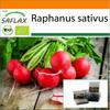 Garden in the Bag - Органический - Редис - Cherry Bell - 100 семян - С субстратом в подходящем стоячем пакете - Raphanus sativus