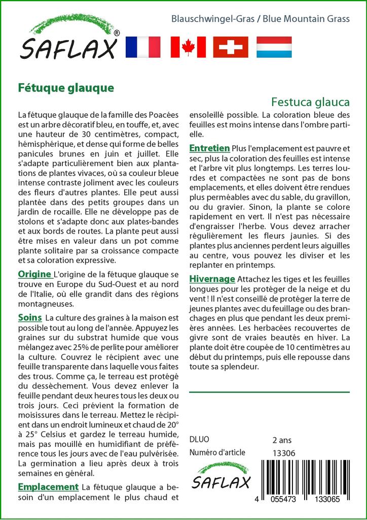 SAFLAX Голубая горная трава - 50 семян - Festuca glauca