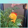 Unique And Charming Wenchang Fish Plush Toy Keychain Adorable Decoration Collectible