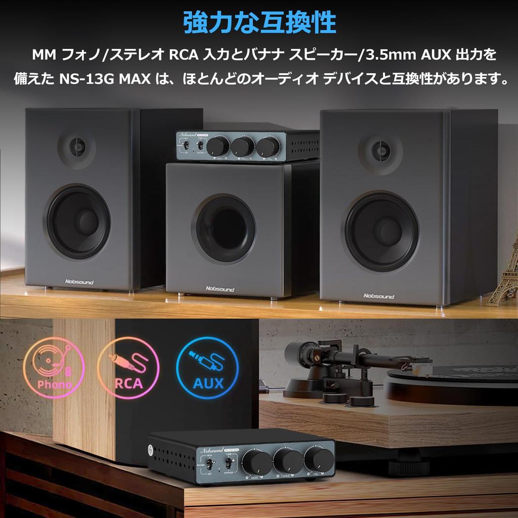 Douk Audio MAX HiFi Mini Stereo Audio Amplifier MM PHONO Phono Amplifier Phono Equalizer Class D Small Power Amplifier Phono Input NS-13G 2.0CH 300W2