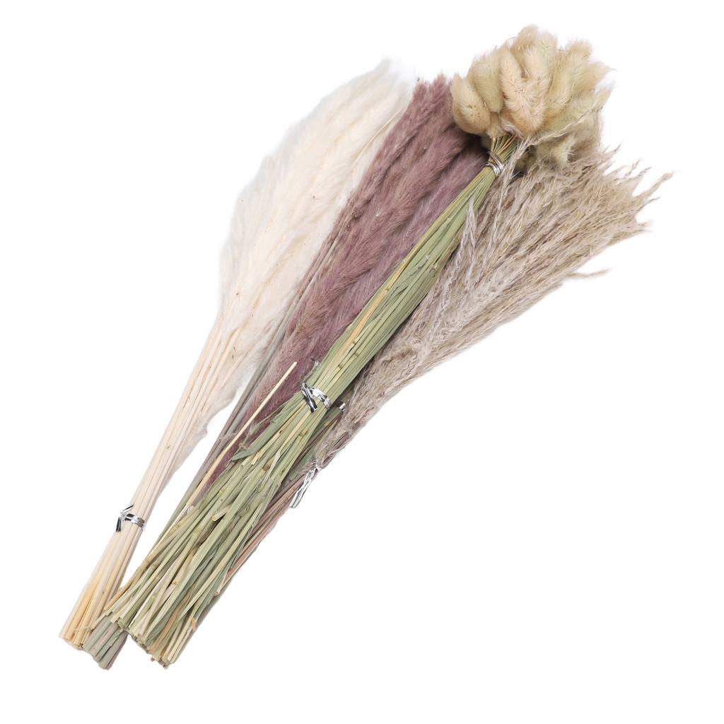 100pcs Mixed Dried Pampas Grass Bouquet Bunny Tail Pampas Reed Grass Home Decor Table Centerpieces