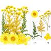 Pressed Flower Mixed Dried Flowers Diy Art Floral Diy Art Floral Gift Craft