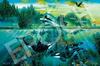 EPOCH Marine Art 1000-Piece Jigsaw Puzzle Illustration Family 50×75cm Adhesive Spatula and Point Ticket