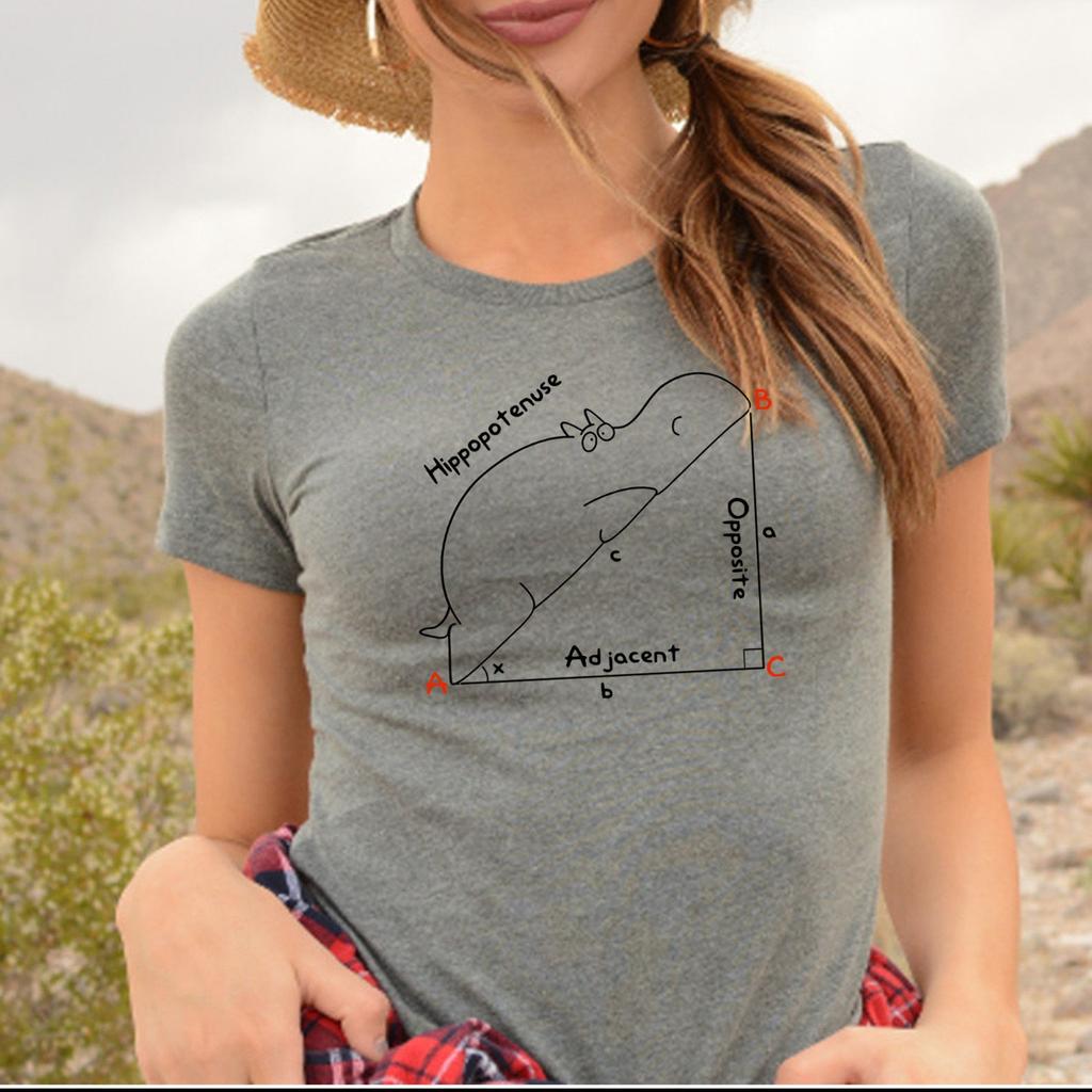 Funny Geometry Tee Shirt, Pythagorean Theorem Tee, Mathematical Humor Triangle Hippopotamus Shirt, Mathematics Geometry Teacher Gift