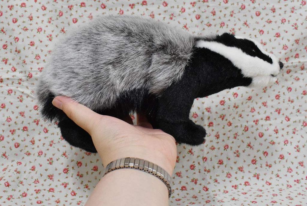 BH3483 HANSA Badger 30