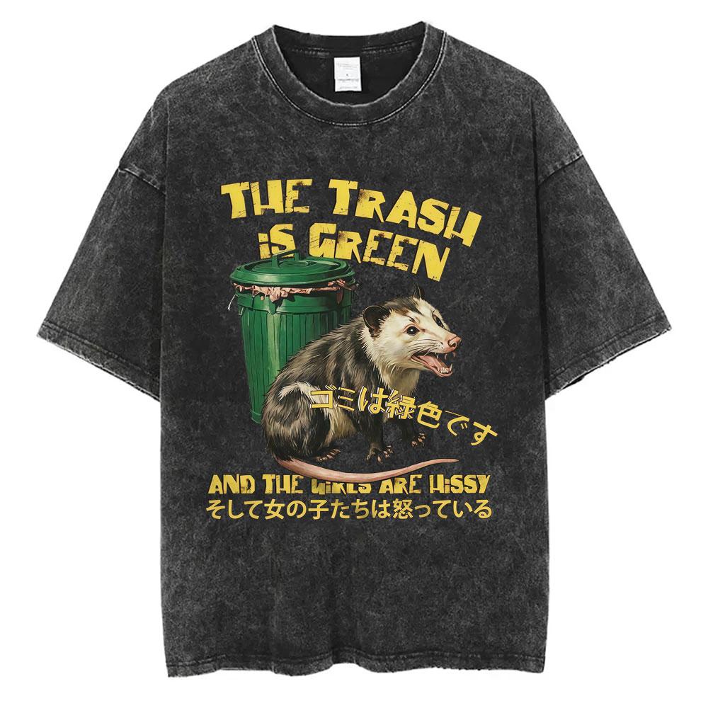 I Want A Perfect Body I Want A Perfect Soul Tshirt Funny Japanese Style Capybara Vintage Washed T Shirt Men Oversized Tees Tops