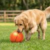 Orange Red Dog Squeaky Ball Round Shape Pet Play Ball Canine Entertainment Toy  Pet Leisure Time