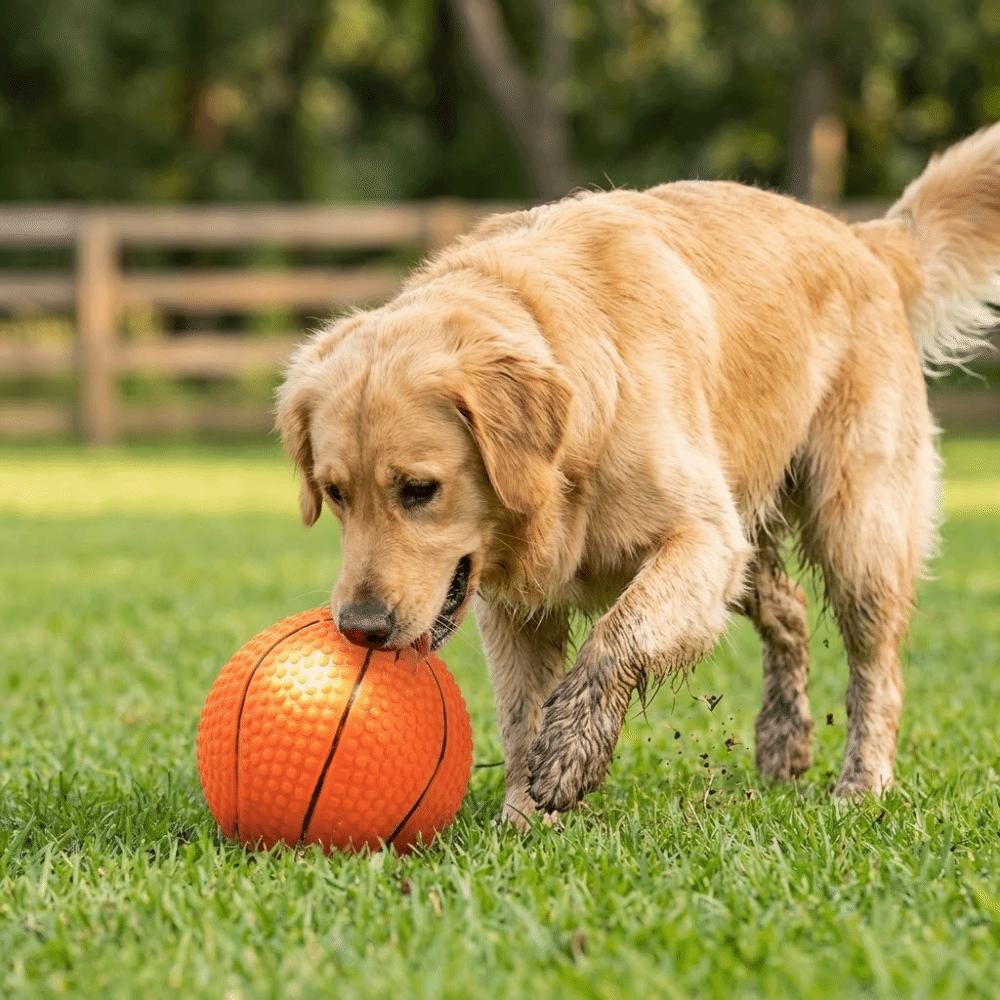 Orange Red Dog Squeaky Ball Round Shape Pet Play Ball Canine Entertainment Toy Pet Leisure Time