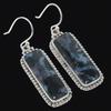Natural Gabbro Stone Gemstone 925 Solid Sterling Silver Gift Earring 1.85" E7t70