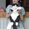 Рюкзак-котенок из плюша ручной работы, мягкая игрушка, кот-смокинг, модный подарок для женщин, детей, на годовщину, день рождения, декор в стиле лолиты с подарком