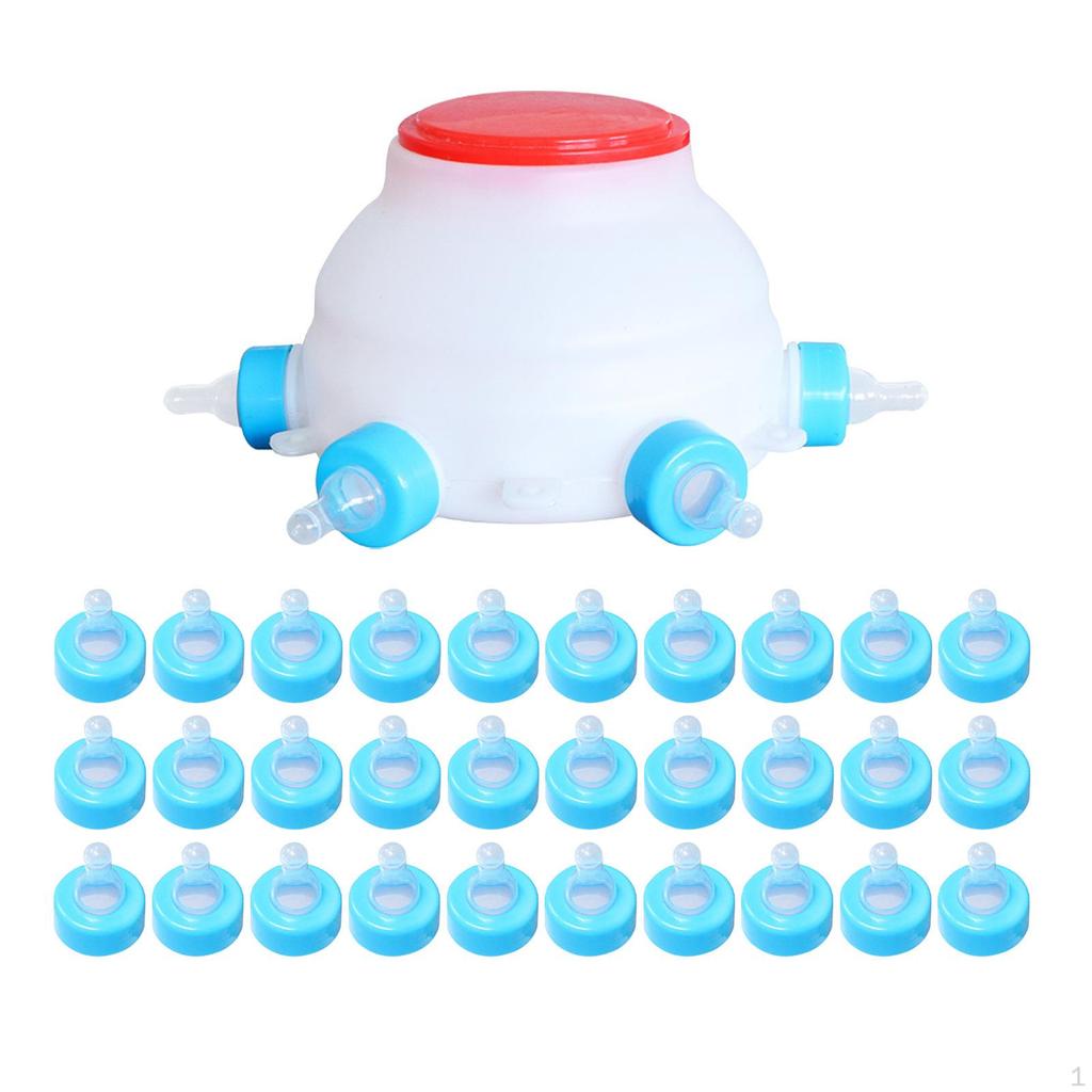 For Lambs And Piglets, Livestock Small Animals