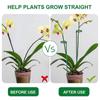 10Pcs Plastic Plant Supports Stakes Flower Stand Sticks Reusable Garden Fixing Tool For Indoor Vegetable Holder Bracket 30cm