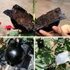 5шт(5см) Ящик для выращивания корней растений, прививка, укоренение, ящик для разведения, ящик для выращивания корней растений для сада диаметром 5/8 см.