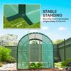 3 x 2 m Polytunnel Greenhouse, with Windows and Doors - Green
