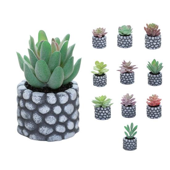 Desktop Ornament Simulation Bonsai No Watering Practical Artificial Succulents Plant